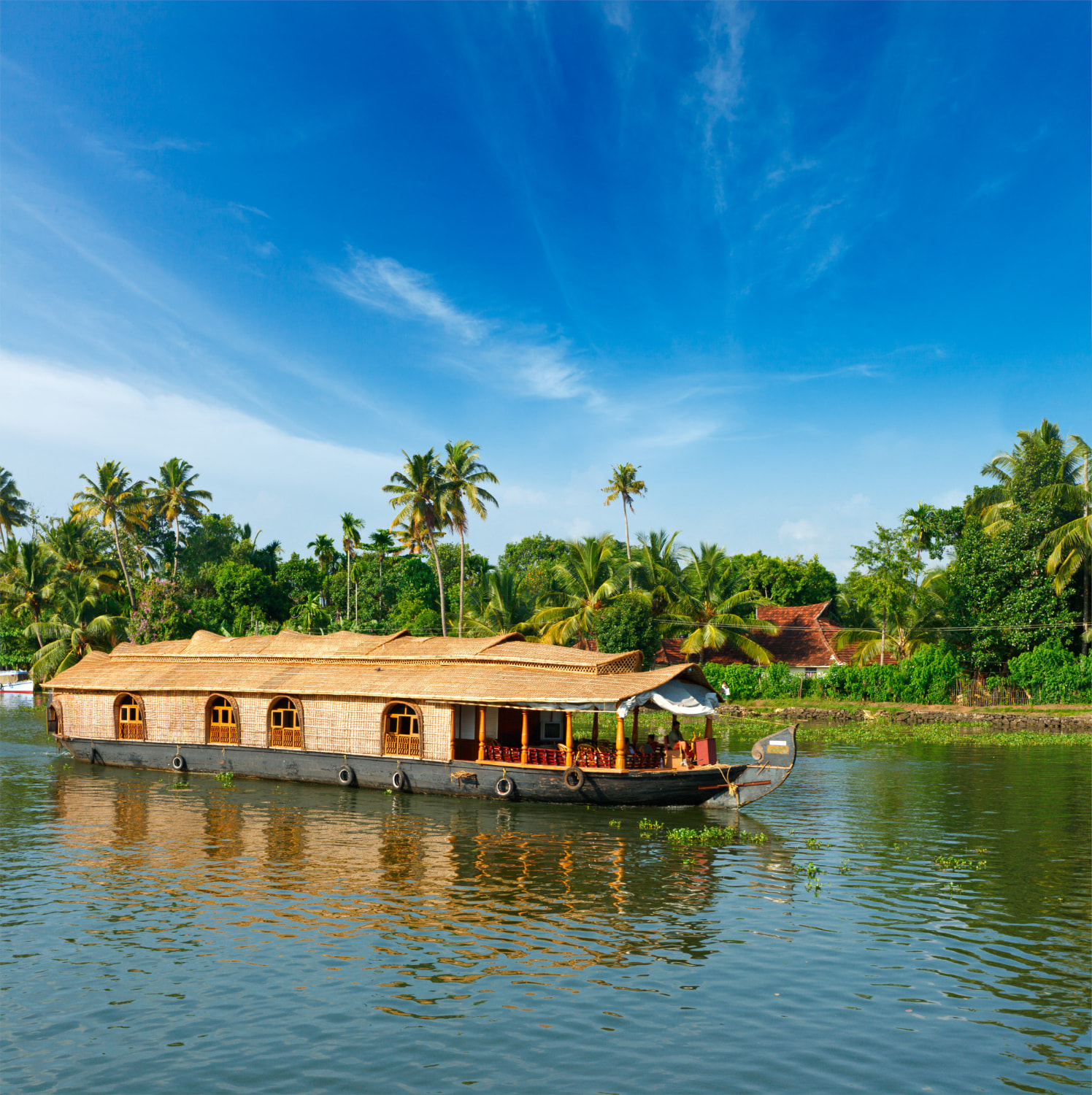 Kerala Backwaters 1